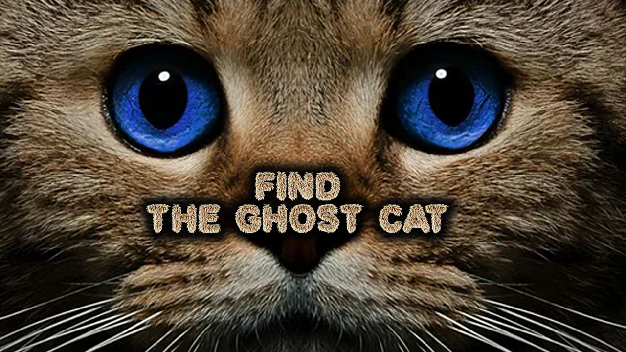 Find the Ghost Cat